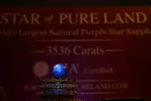 Sri Lanka Reveals Record Breaking Purple Star Sapphire