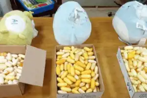 Narcotics Smuggled in Toys Trigger High Alert for Police