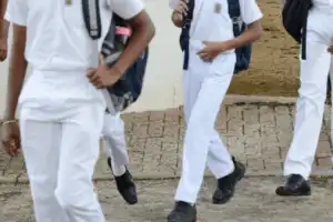 New Guidelines Issued to Safeguard Student Welfare and School Discipline