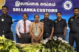 Passenger arrested at BIA for smuggling ornamental plants