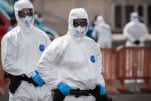 WHO Says No Signs of Wider Hantavirus Outbreak After Cruise Ship Cases, but Warns Situation Could Change