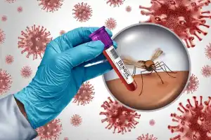 Health Ministry Launches Dengue Operations Room, Introduces Emergency Helpline
