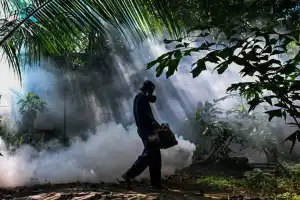 Sri Lanka Reports Over 81,000 Dengue Cases and 61 Deaths in 2026