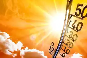 Germany Heatwave Claims Nearly 9,800 Lives This Year: RKI