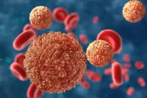 Sri Lanka Dengue Cases Exceed 97,000 in 2026