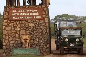 Yala National Park Blocks 1 and 2 Closed Temporarily Amid Severe Drought